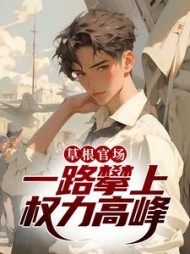 草根官场：一路攀上权力高峰周翊