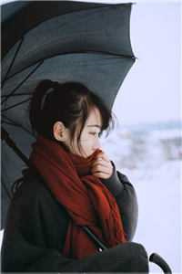 完结《娇气包和龙傲天》作者采蘑菇的老猫